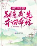 权臣下堂妻？别急，我先夺回命格