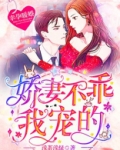 幸孕暖婚：娇妻不乖，我宠的