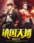 镇国天婿
