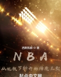 NBA：从执教罗斯开始缔造王朝