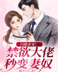 闪婚求宠!禁欲大佬秒变妻奴