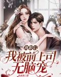 离职后,我被前上司掐腰宠