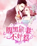 腹黑前妻不好惹