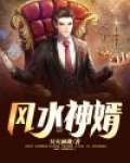 风水神婿
