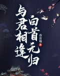 与君相逢,白首无归