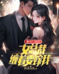 被开门杀后，女总裁缠着要嫁我