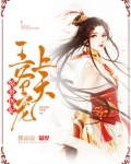 惊世医妃：王爷宠上天