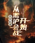 抗战我有武器系统