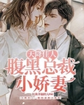 天降佳人:腹黑总裁小娇妻