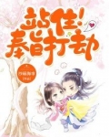 站住!奉旨打劫