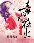 毒妃在上，邪王在下
