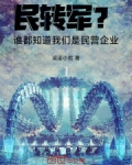 民转军?谁都知道我们是民营企业