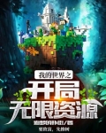 我的世界之开局无限资源