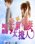 契约隐婚:学霸娇妻太撩人