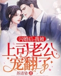 闪婚后,我被上司老公宠翻了!