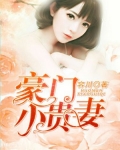 豪门小贵妻