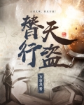 替天行盗